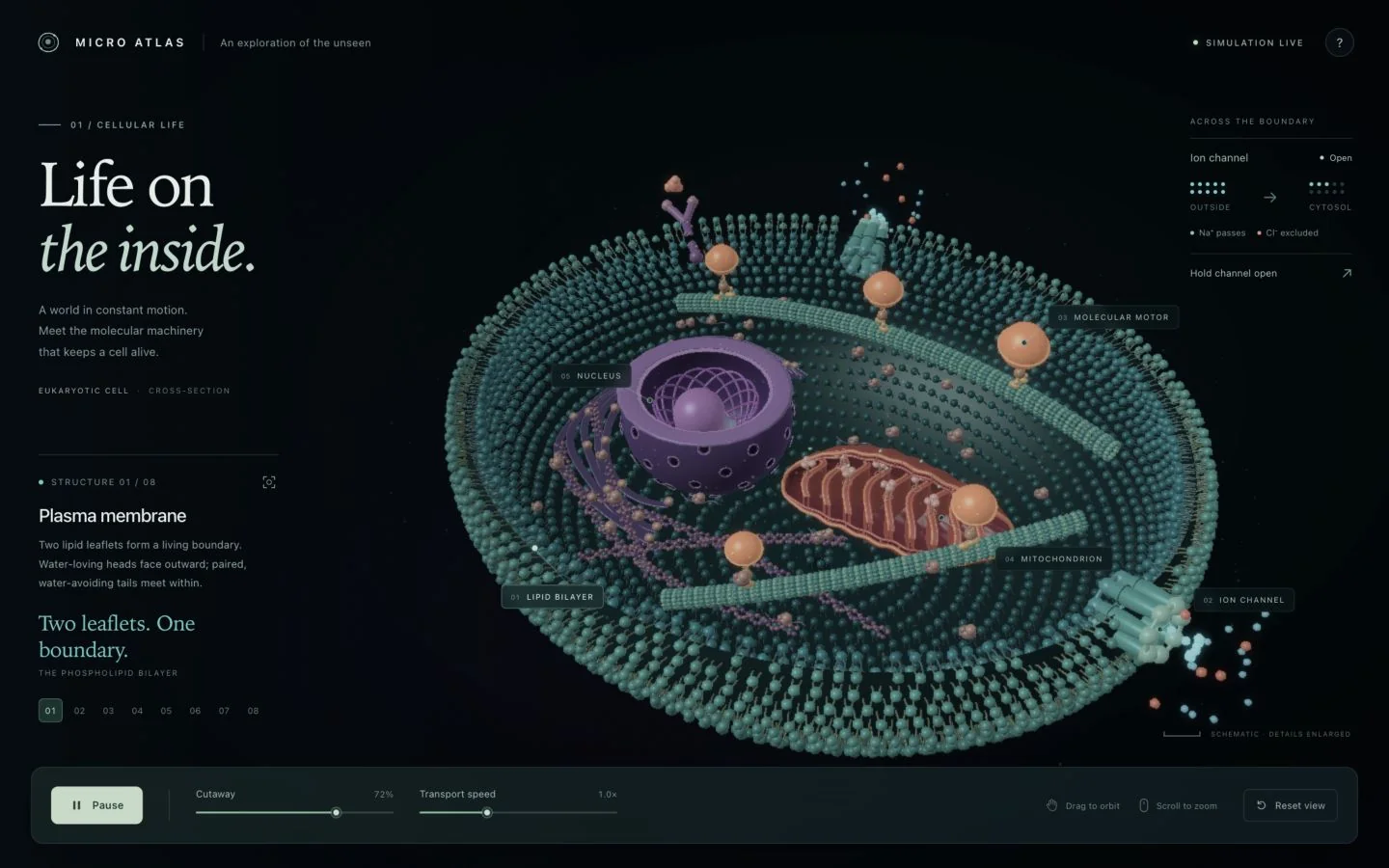 Living Cell final result